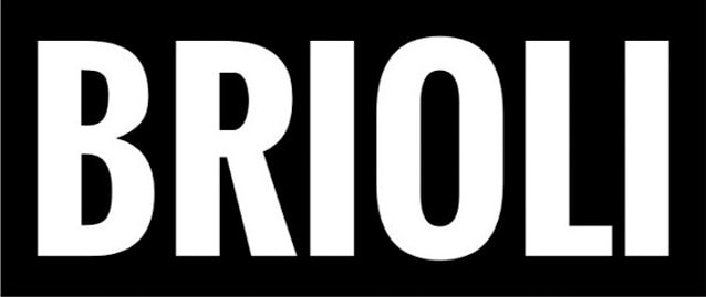 Мебельная фабрика BRIOLI. Диваны-кровати, диваны для сна, диваны для кафе и ресторанов